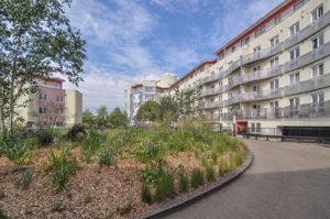 Photo 10- click for photo gallery